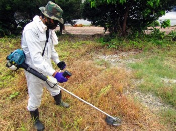 【未経験者大歓迎】草刈りスタッフ募集!