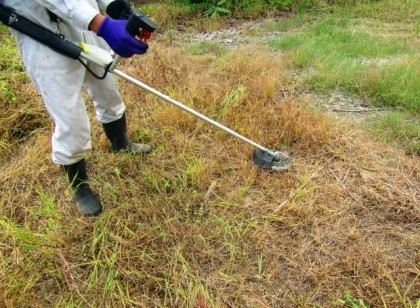 【未経験者大歓迎】草刈りスタッフ募集!