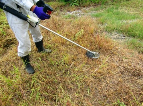【未経験者大歓迎】草刈りスタッフ募集!